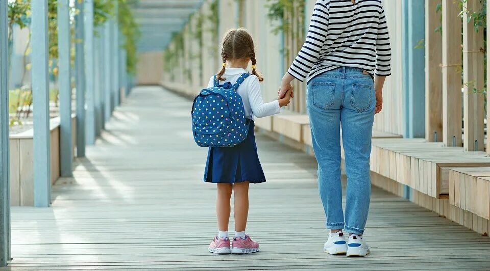 Должны ли дети ходить в школу. Родители ведут ребенка в школу. мама ведет ребенка в школу. дети идут в школу. мама провожает ребенка в школу.
