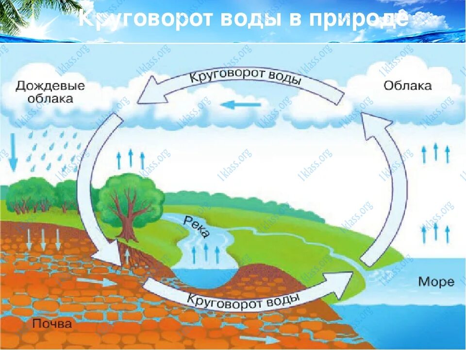 Круговорот в природе картинки