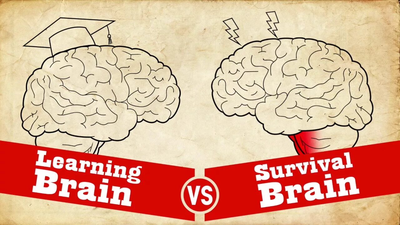 Brain vs brain. Мозг vs мозг. Learning Brain. Мозг обучающийся и мозг.