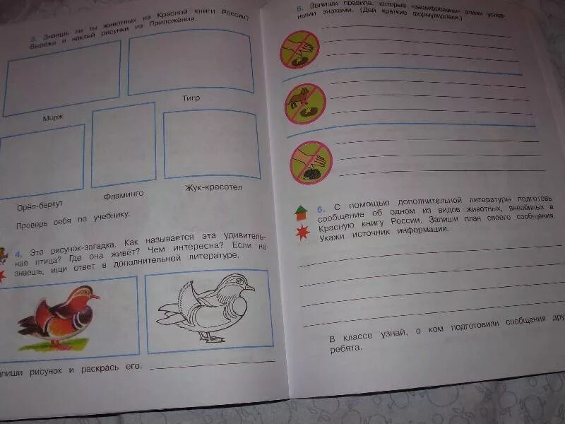 Окружающий мир 4 класс 63 67. Окружающий мир рабочая тетрадь охрана животных. Охрана животных 3 класс рабочая тетрадь. Окружающий мир 3 класс рабочая тетрадь охрана животных. Окружающий мир 3 класс рабочая тетрадь.