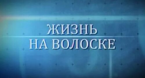 жизнь тимофея на волоске а где. человечек висит. жизнь висела на волоске. рвущаяся нить. алекс хоннольд.