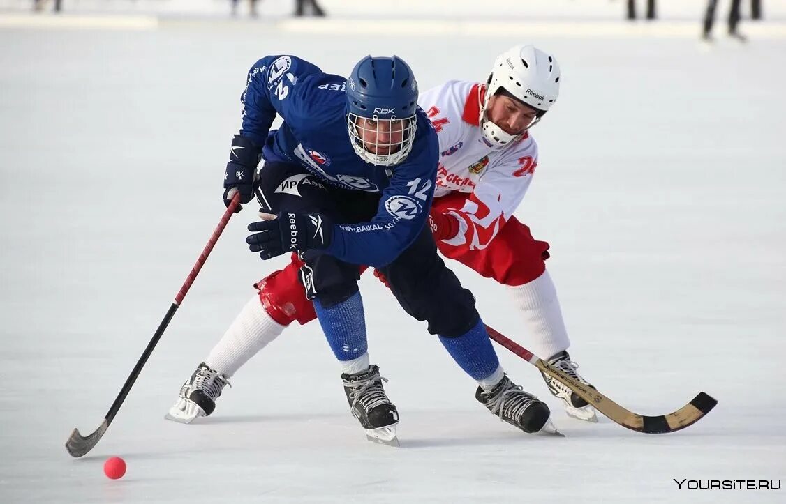 БЕНДИ игра хоккей с мячом. Bandy хоккей с мячом. Хоккей с мячом на льду. Хоккей с мячом на льду название. Бенди нет