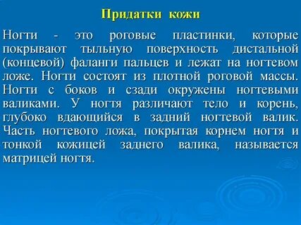 Развитие на туловище роговых пластинок
