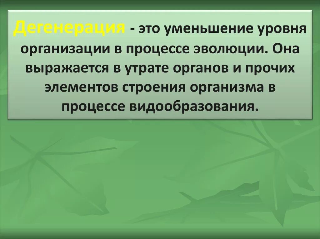 Общая дегенерация это в биологии. Направление общей дегенерации. Общая дегенерация это в биологии кратко. Значение общей дегенерации в эволюции.