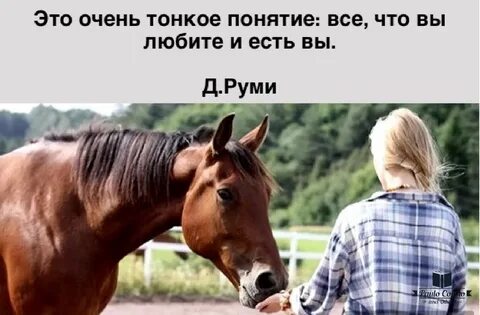 Есть человек лошадь