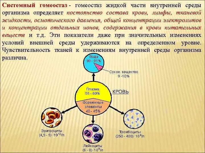Гомеостаз внутренней среды это. Постоянство внутренней среды организма. внутренняя среда организма гомеостаз. гомеостаз схема.