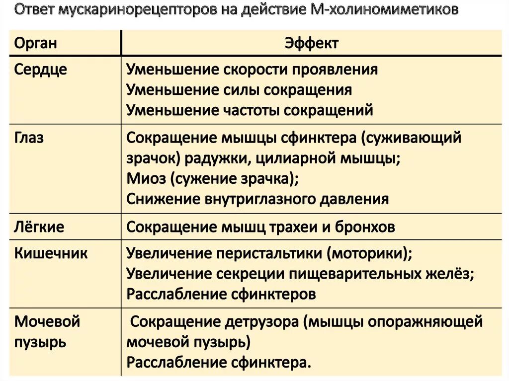 Механизм действия м холиномиметиков. Фармакологические эффекты м холиномиметиков таблица. Мн холиномиметики фармакологические эффекты. М холиномиметики действие. Основные эффекты м холиномиметиков.