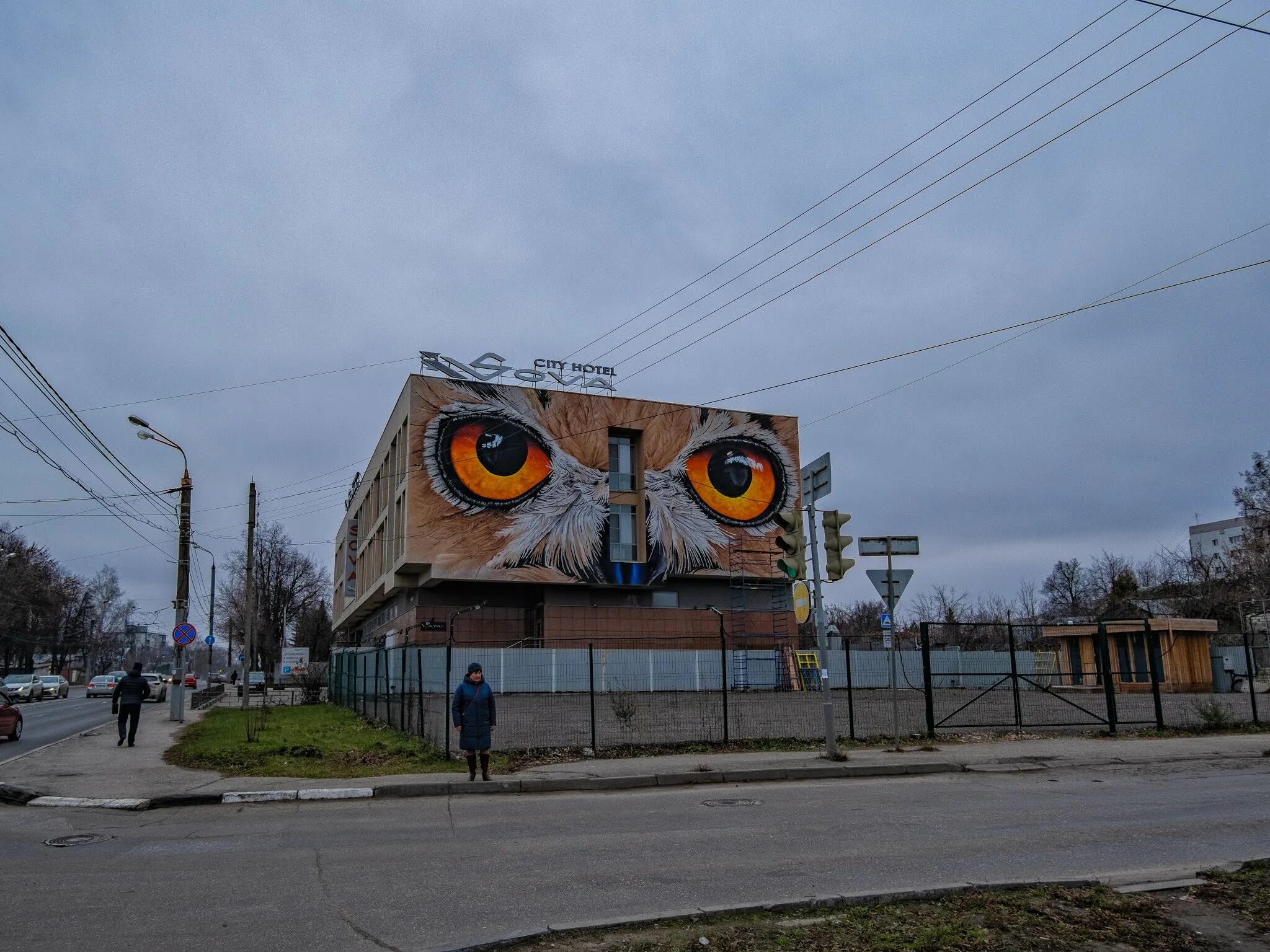 Ул филина