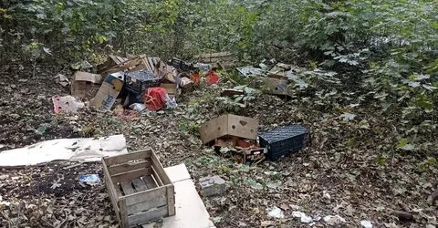 Первомайск ростов