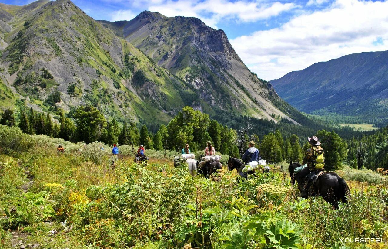 Tourism ecotourism. Саяны Экотур. Экотуризм в России. Алтайский район Экотур. Экологический туризм (экотуризм, зеленый туризм).