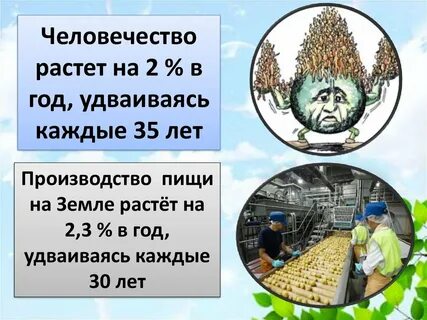 Человечество число