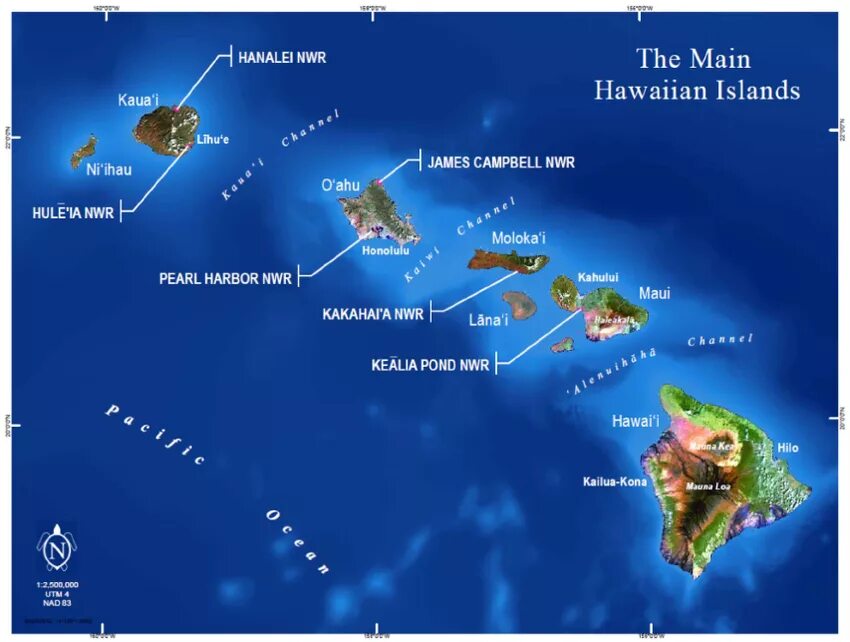 Гавайские острова карта. Гавайские острова принадлежат. К какой стране относится остров
