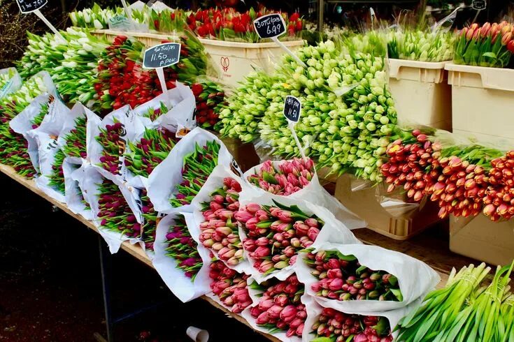 Local weekend. Bloemenmarkt Amsterdam. Bloemenmarkt. Floating Flower Market. Amsterdam supermarket Street.