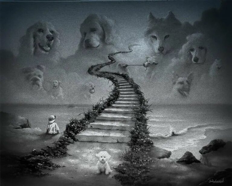 Куда уходят души собак. Собачий рай. Душа уходит. Душа собаки. Мертвые души.