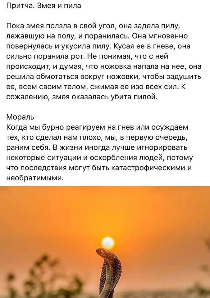 Притча о змее и старце. Притча о змее и старце