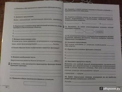 9 класс рабочая тетрадь цибулевский