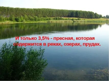 1 чем пруд отличается от озера