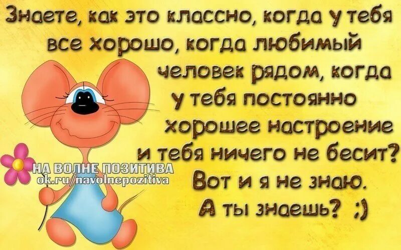 Открытки прикольные для поднятия настроения. Стих веселое настроение. Смешное стихотворение для поднятия настроения. Позитивные веселые стихи. Позитивные высказывания.