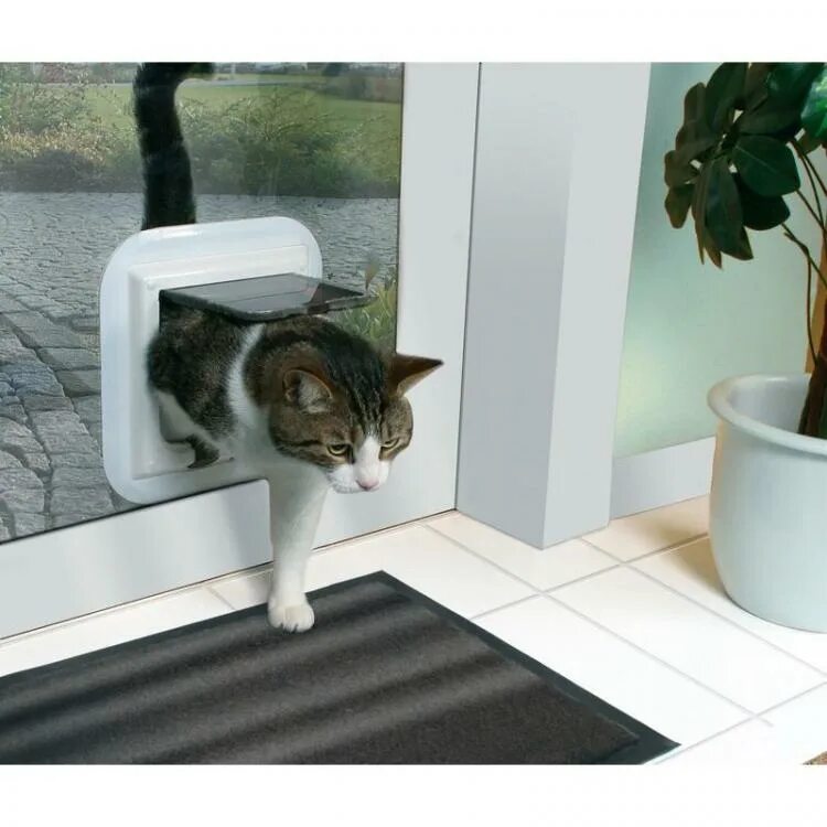 Выход кошечки. Дверца для кошек. Дверка для кошек в дверь. Люк для кошки в дверь. Дверца для кошек в стеклопакет.