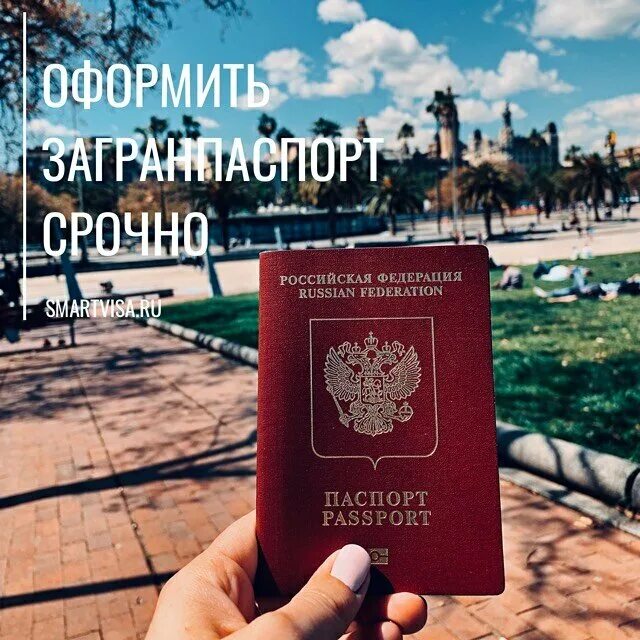 помощь в оформлении в москве