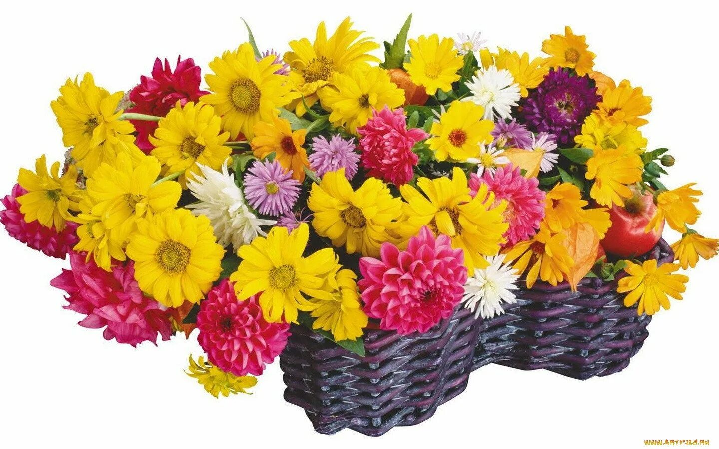 Открытки с днем рождения хризантемы. Букет "день рождения". Открытка "букет". Открытки цветы красивые букеты. Поздравления с днем рождения цветы.