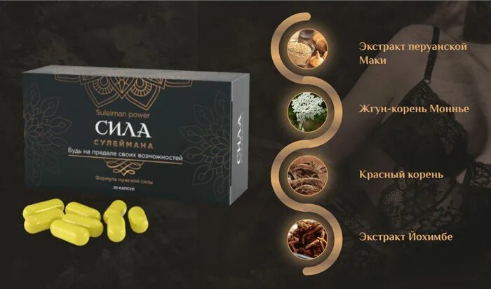 тайна сулеймана