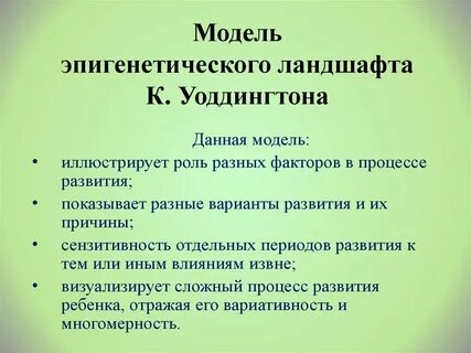 Эпигенетический ландшафт