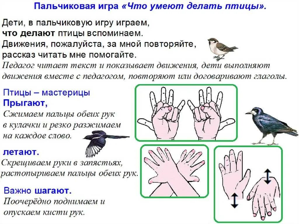 Тема перелетные птицы цель. Пальчиковая гимнастика перелетные птицы. Пальчиковая гимнастика о птицах для детей 5-6. Перелетные птицы пальчиковая гимнастика для детей 4-5. Пальчиковая гимнастика птицы для детей 3-4 лет.