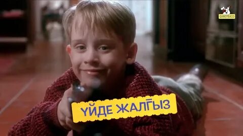 Әйелдер кискаларының әртүрлі түрлерінің фотосуреттері