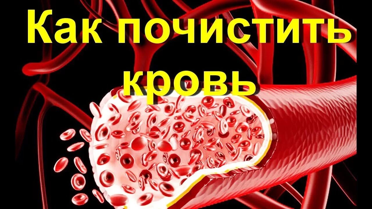 Как очищается кровь. Очищение кровеносных сосудов. Чистка крови в организме.