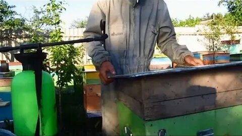 Обработки пчел видео