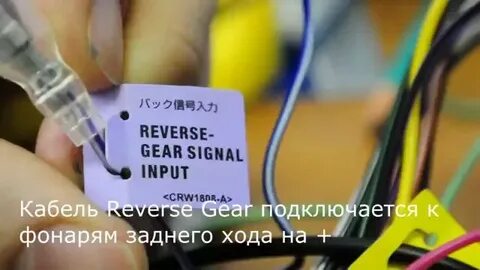 Input gear