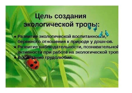 Создай окружающий