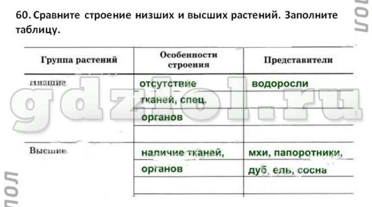 Сравнительная таблица водорослей 7 класс биология Как Заполнить таблицу по биологии "сравнение растений разных отделов под царство