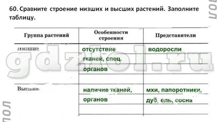 Сравнение строения низших и высших растений заполните таблицу. Строение низших и высших растений таблица. Таблица по биологии 5 класс водоросли Пасечник. Строение низших и высших растений заполните таблицу.