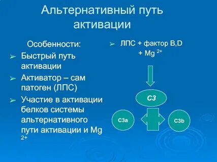 Результат альтернативы