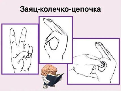 Развитие межполушарных связей