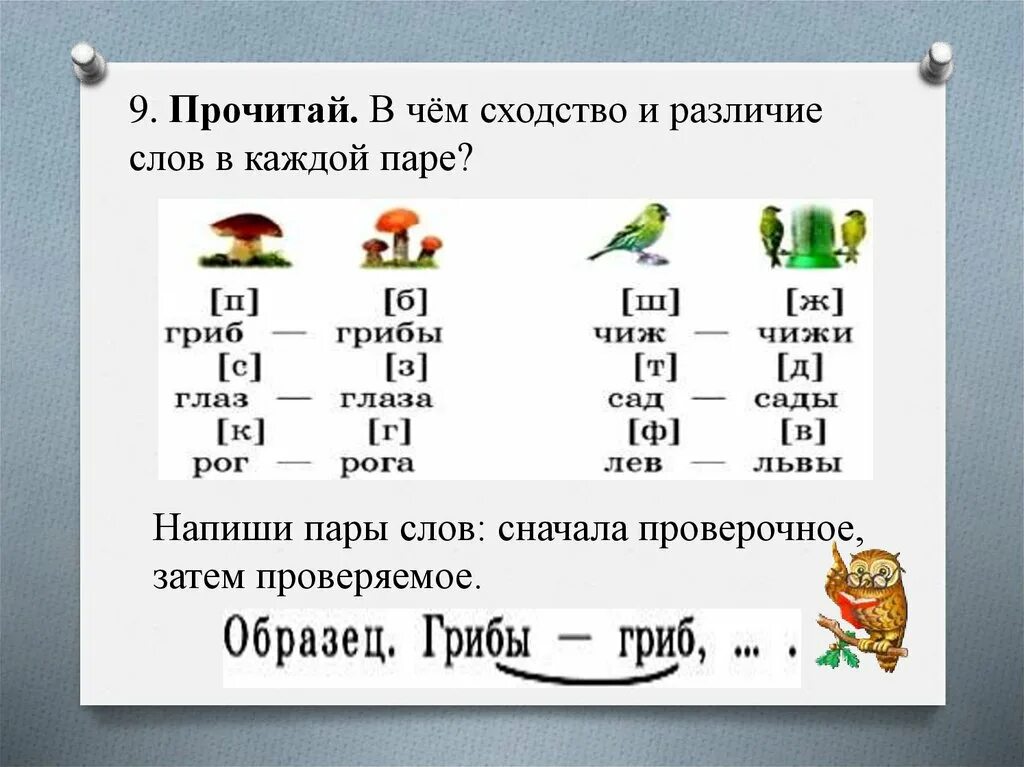 П глухая согласная. Парные согласные по глухости 2 класс. Парные согласные по звонкости и глухости 1 класс. Звонкие и глухие согласные в конце слова.1 класс школа России. Начальная школа парные звонкие и глухие согласные.