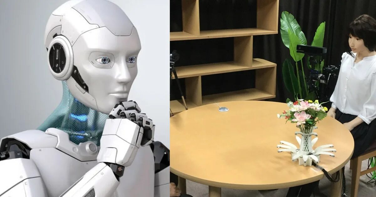 Самого дорогого робота. Девушка робот. Робот с искусственным интеллектом. Робот дорогой. Японские роботы.
