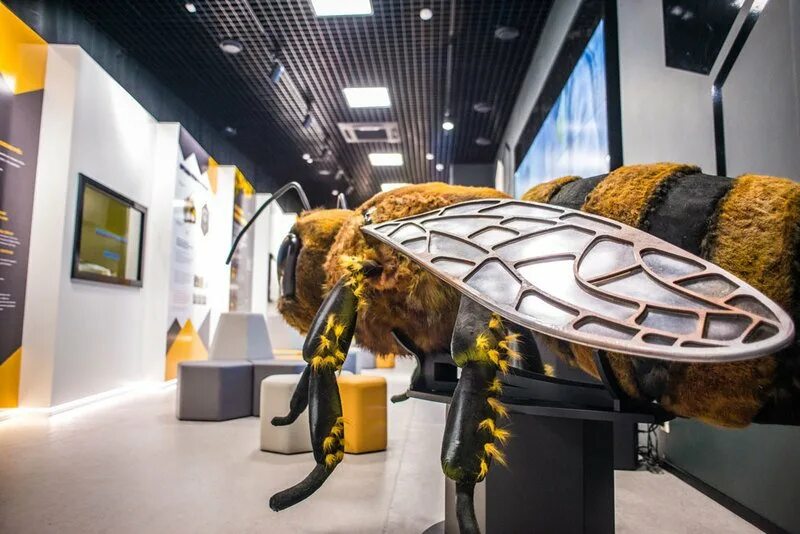 Пчеловодство вднх. Павильон №28. эколого-просветительский центр «пчеловодство» вднх. павильон 28 пчеловодство на вднх. музей пчеловодства на вднх. музей пчеловодства в москве.