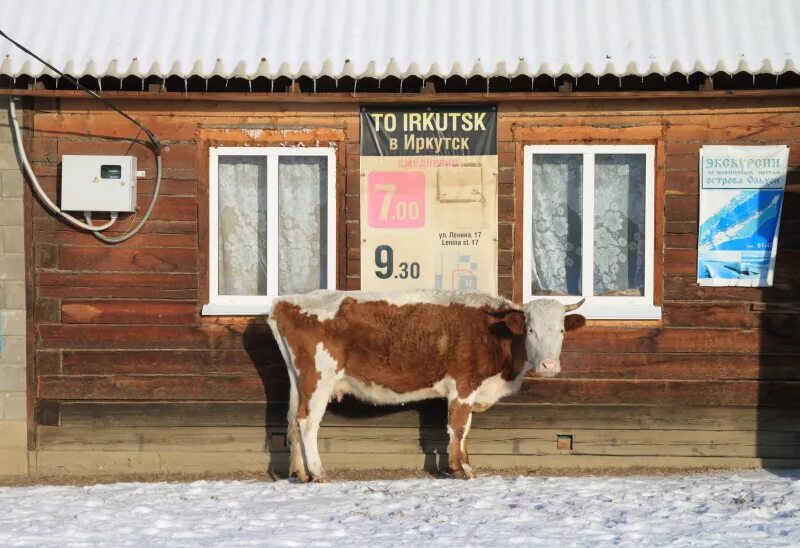 Весел иркутск