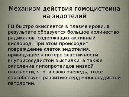 Что повышает гомоцистеин