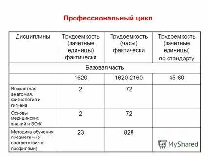 Зачетная единица трудоемкости