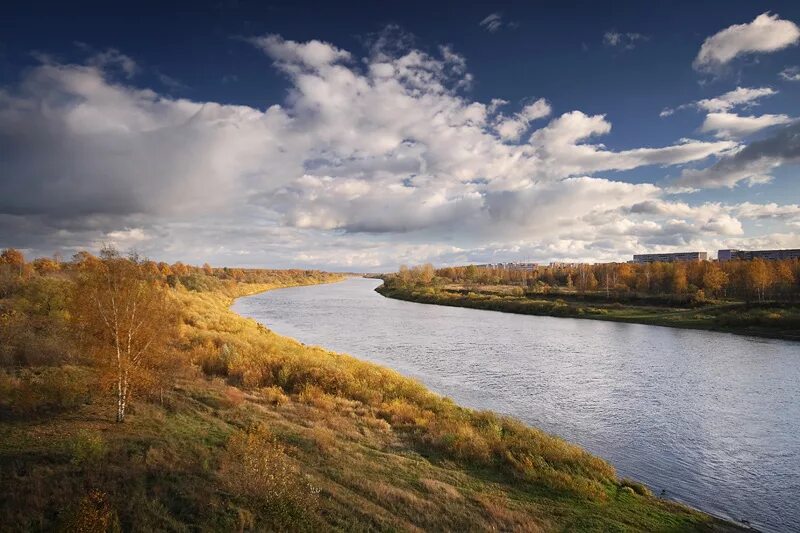 Река Даугава Западная Двина. Река Западная Двина Беларусь. Река Двина Беларусь. Северная Двина река Витебск.