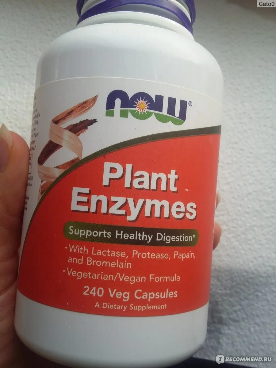 Plant enzymes