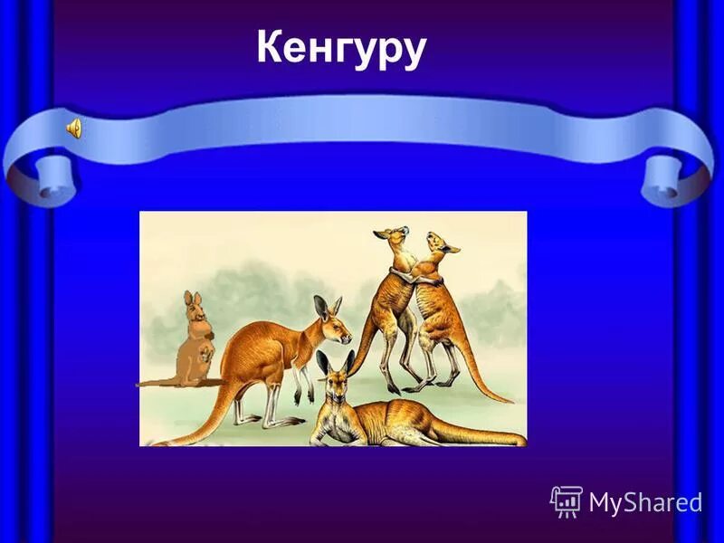 сен санс цикл карнавал животных. карнавал животных детям. камиля сен-санса «карнавал животных». финал карнавала животных сен-санса. сен санс цикл карнавал животных.