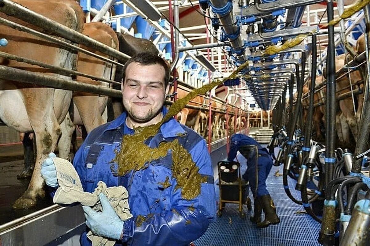 Худшая работа