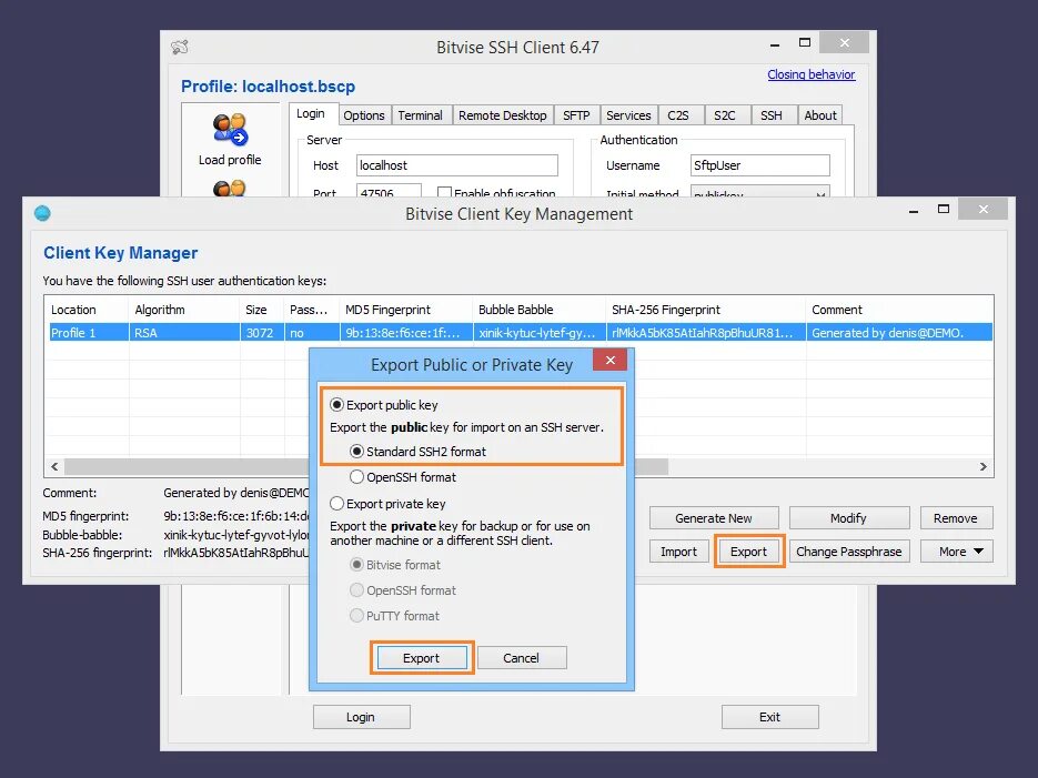 Bitvise client. Открытый ключ SSH. Bitvise SSH client. Bitvise SSH private Key. Ключ к клиенту.