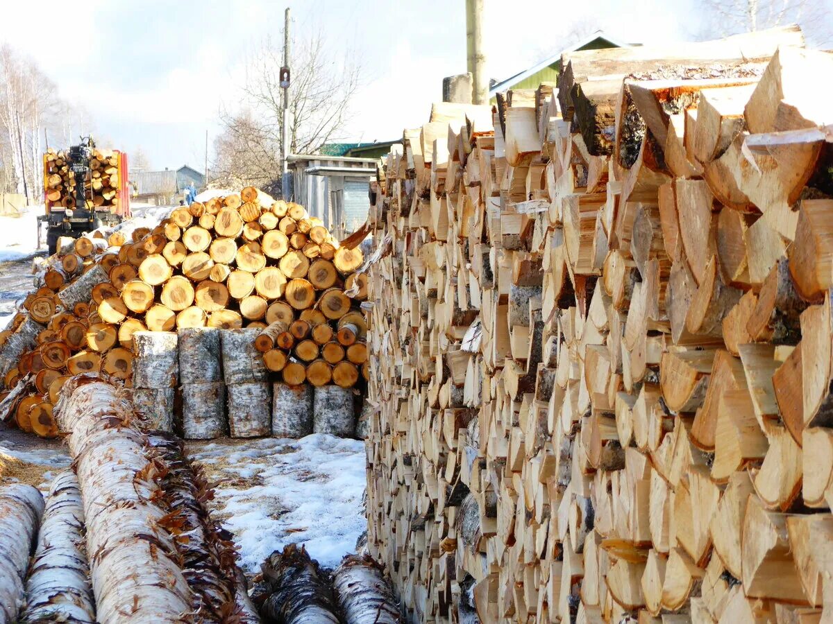 Липовые дрова. Дрова берёзовые колотые. Закупаю дрова. Золотые дрова. Какой лучше купить дрова