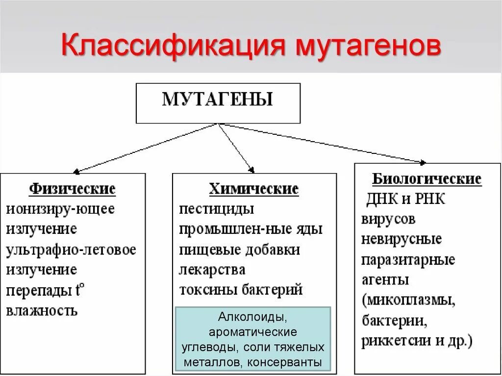 Классификация мутагенных факторов таблица. Классификация мутаций схема. Мутагены физические химические биологические. Мутации. Классификация мутаций, мутагенные факторы..